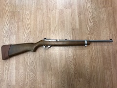 Ruger 10-22 stainless 