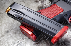 Magazijn voor Dan Wesson DWX